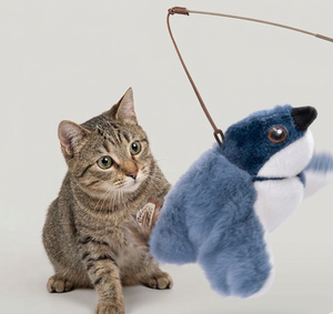 Pet Supplies